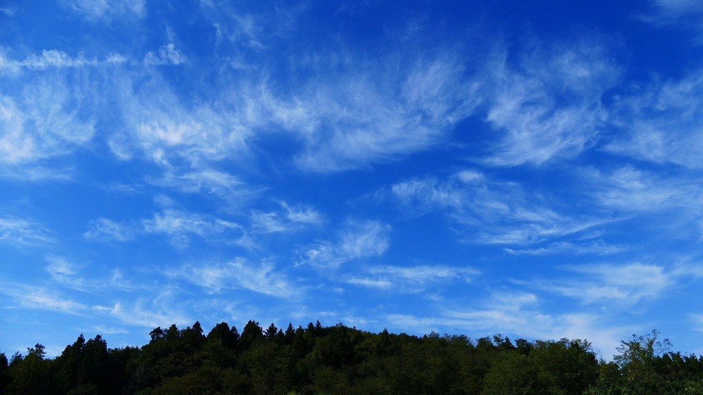 P1150628　@矢吹町