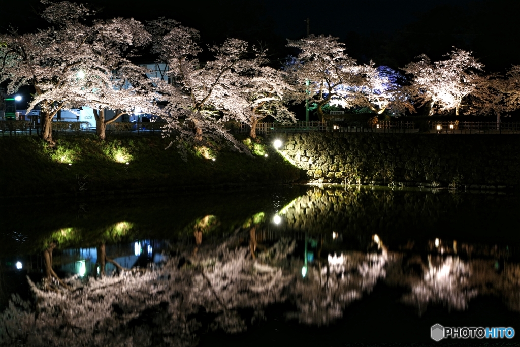 鶴ヶ城満開 その４