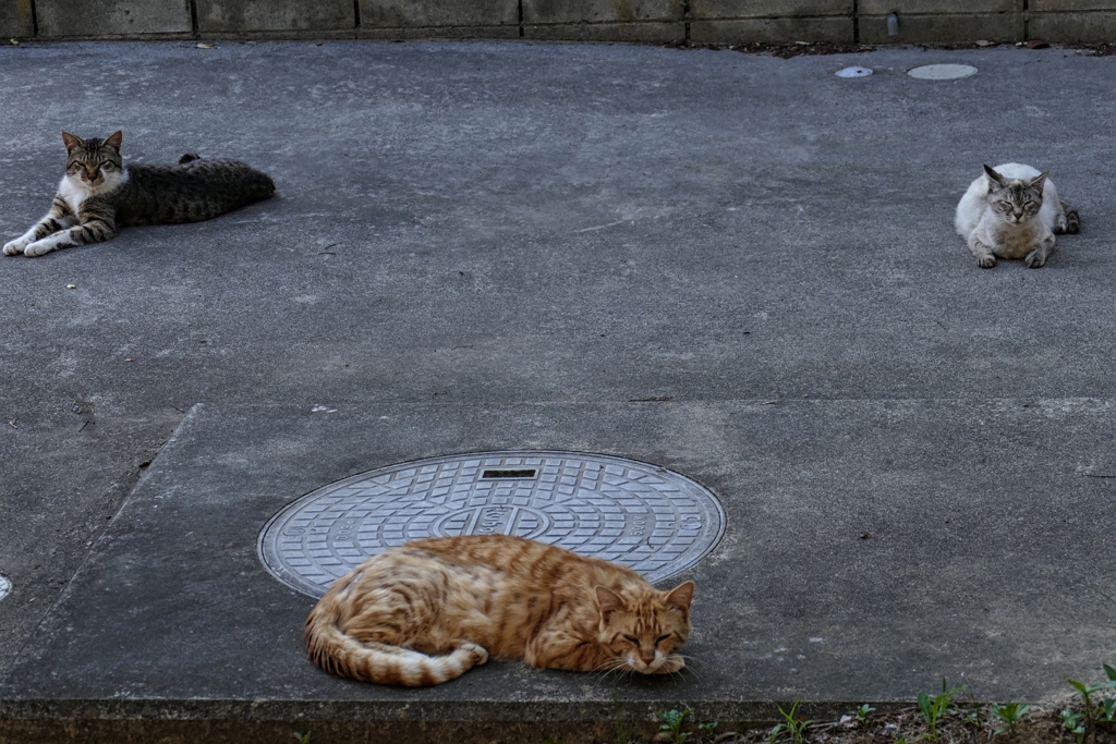 ソーシャルディスタンス？？