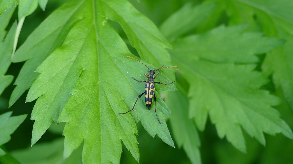 ぽつりと。。。　