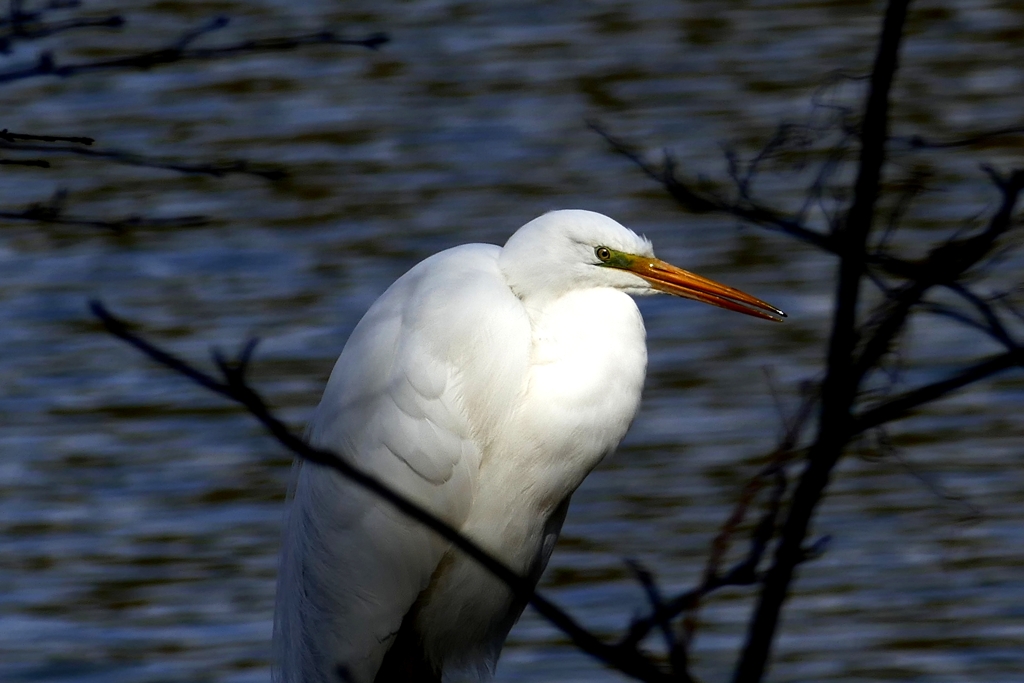 スポットライト