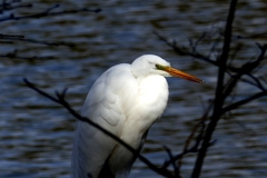 スポットライト