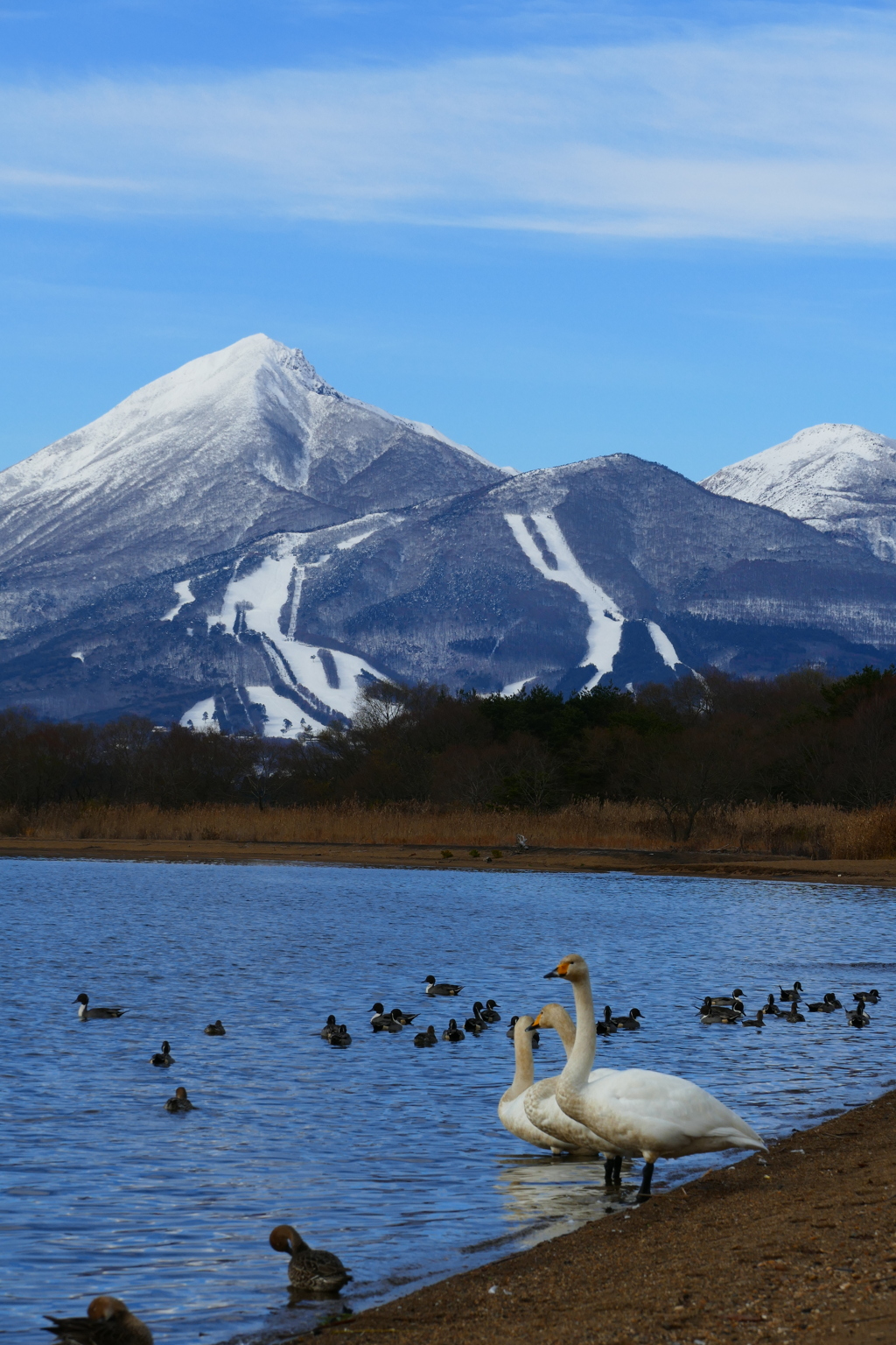 雲と山と湖と７