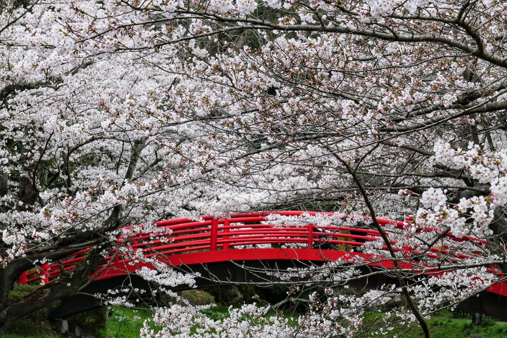 翠ヶ丘公園④