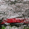 翠ヶ丘公園④