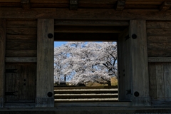白河小峰城の春 ７