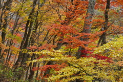 観音沼森林公園５