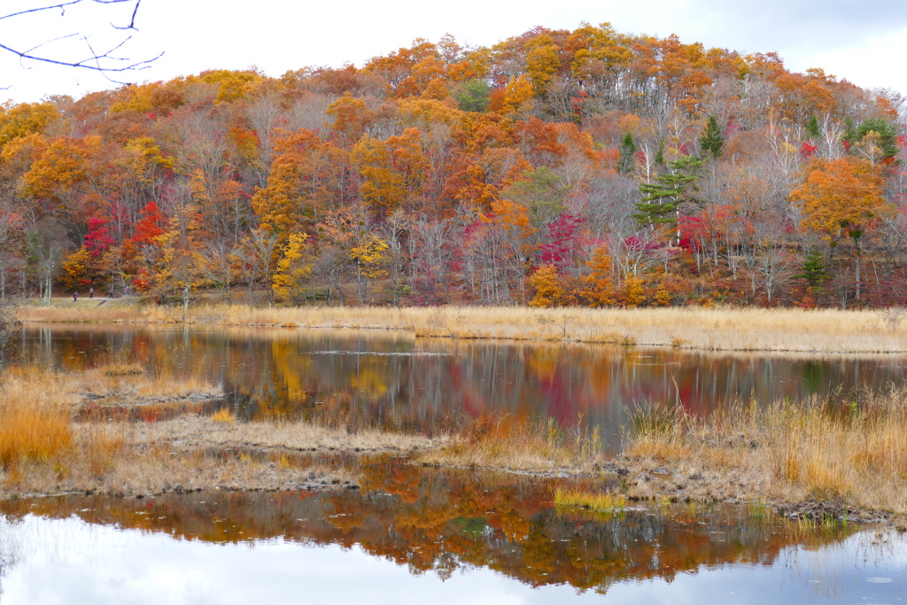 観音沼森林公園３