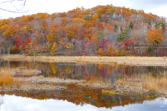 観音沼森林公園３