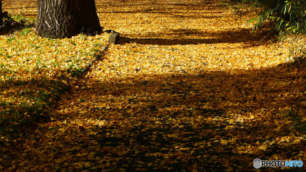 陰影の昼下がり