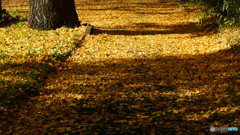 陰影の昼下がり