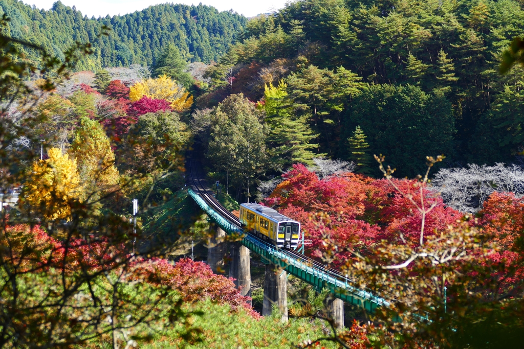 電車と紅葉３