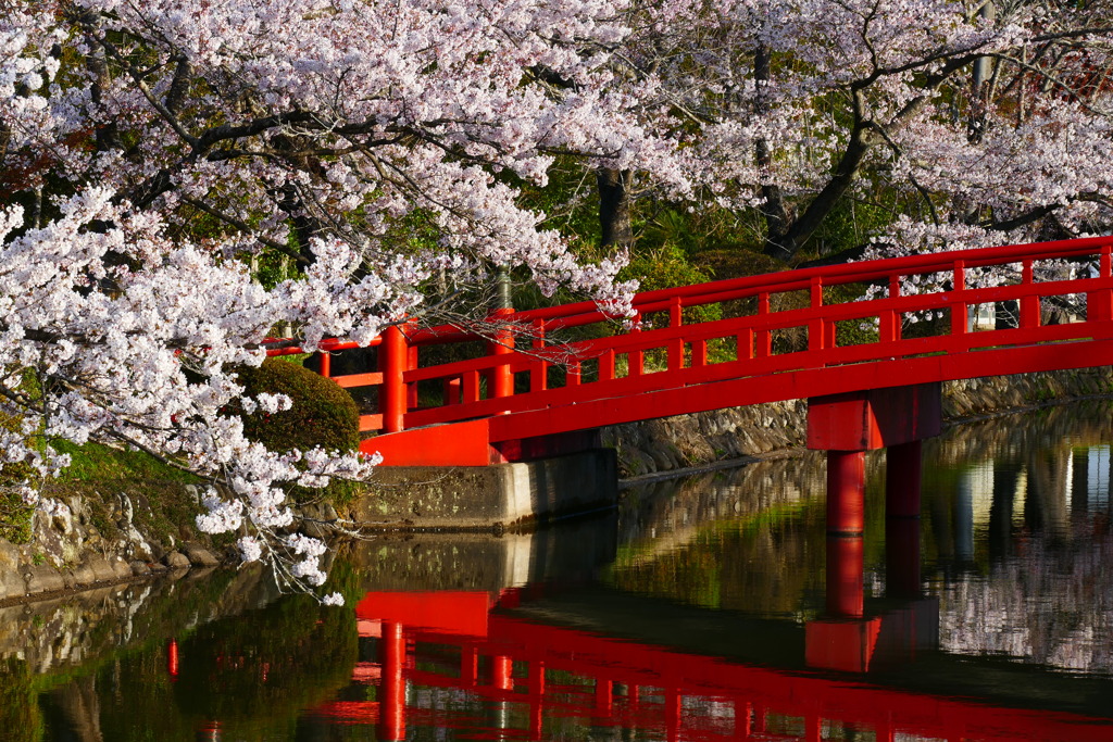 涼ヶ岡八幡神社 その３