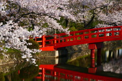 涼ヶ岡八幡神社 その３