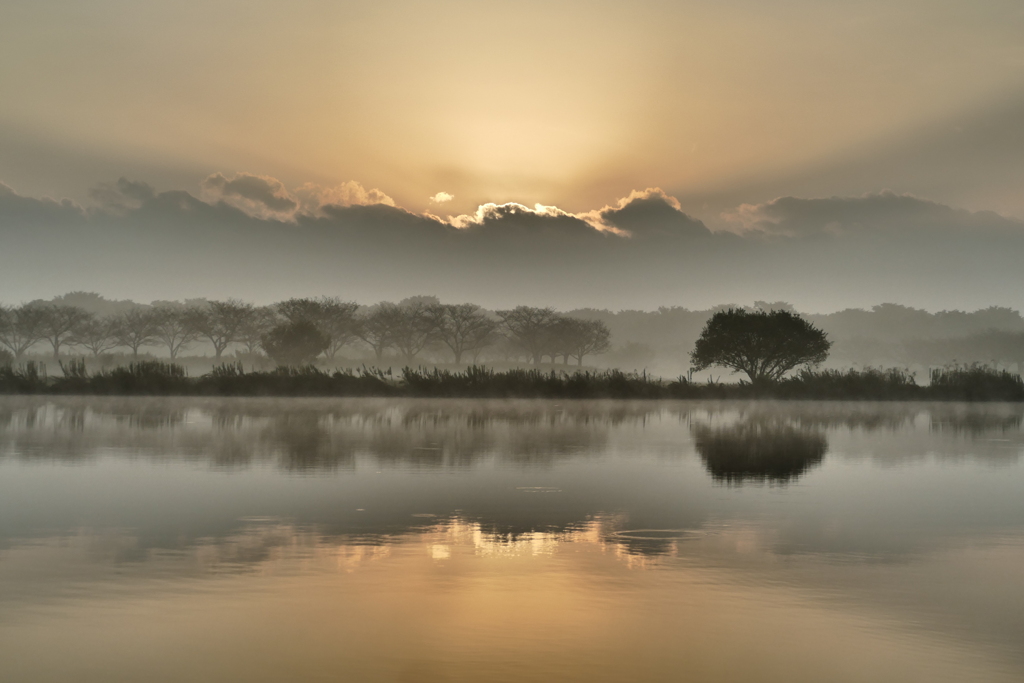 朝霧の夜明け２