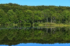 リフレクション