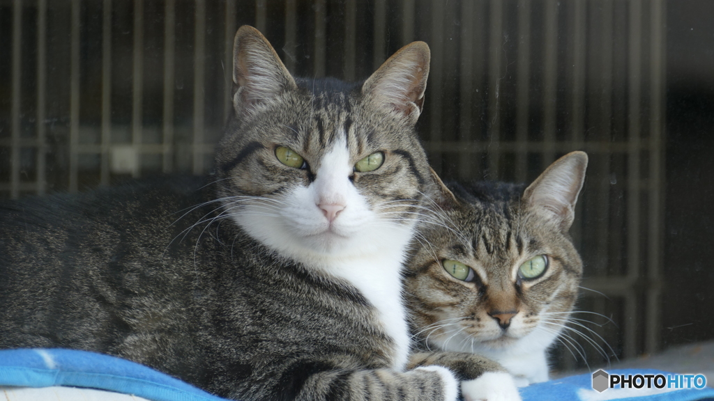 ナイスカップル(*^-^*)