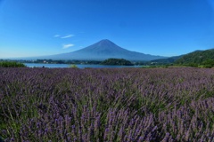 富士山プラスワン