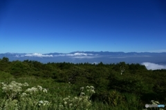 北アルプス槍穂高を望む１