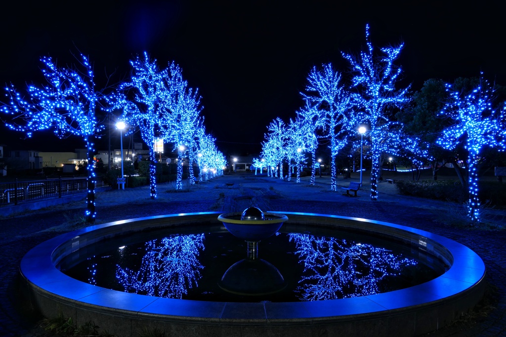 ブルーイルミネーション