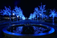 ブルーイルミネーション