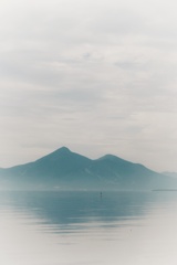 ホワイティドリーム