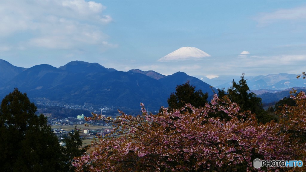 ＠神奈川県松田町