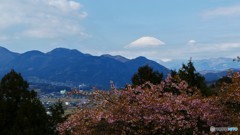 ＠神奈川県松田町