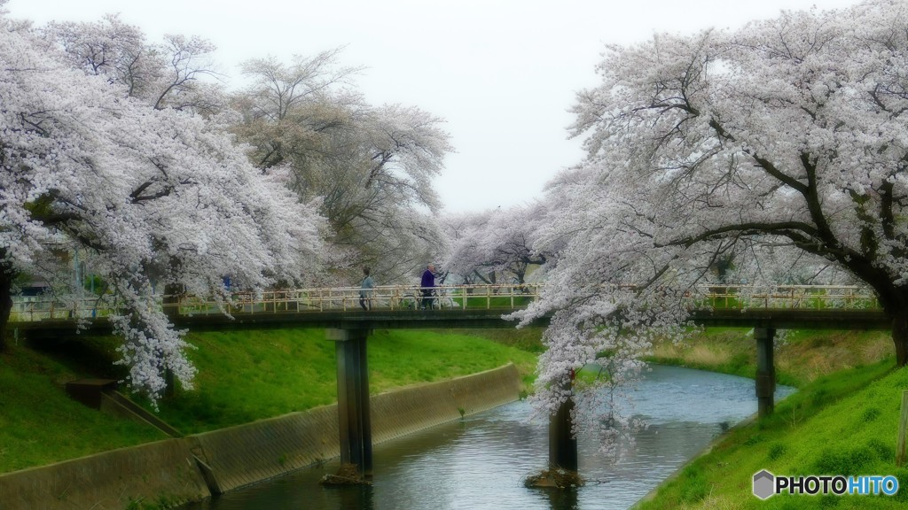 逢瀬の川べり２