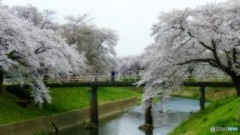 逢瀬の川べり２