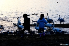 猪苗代湖夕景３