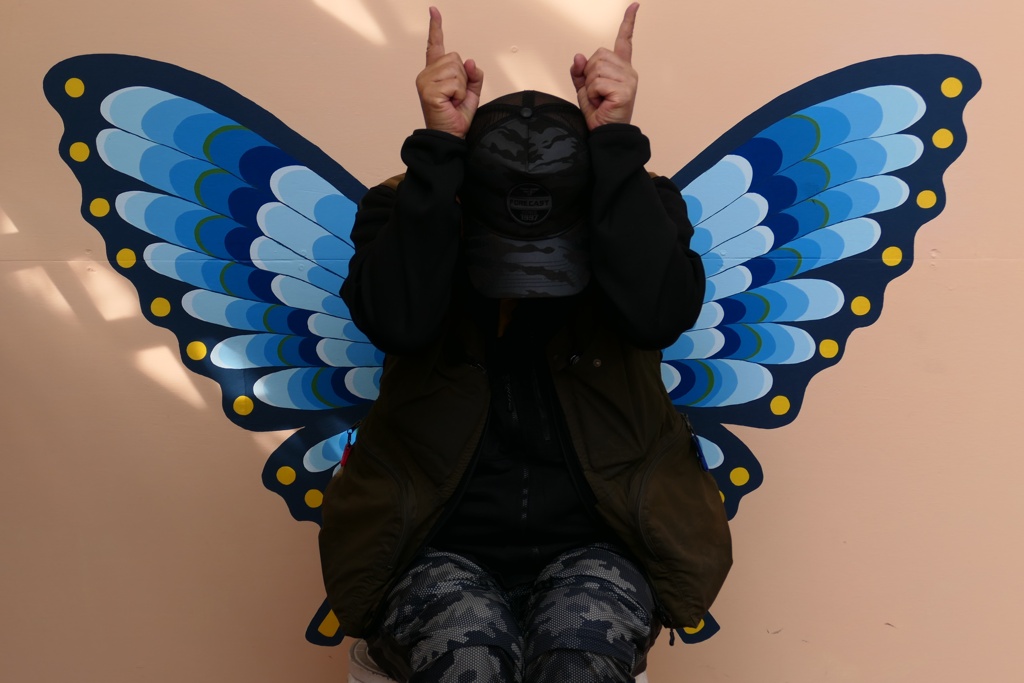 蝶のつもりが、これは蝉だね