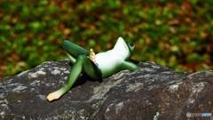 ＠鎌倉　明月院