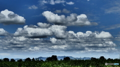 夏空