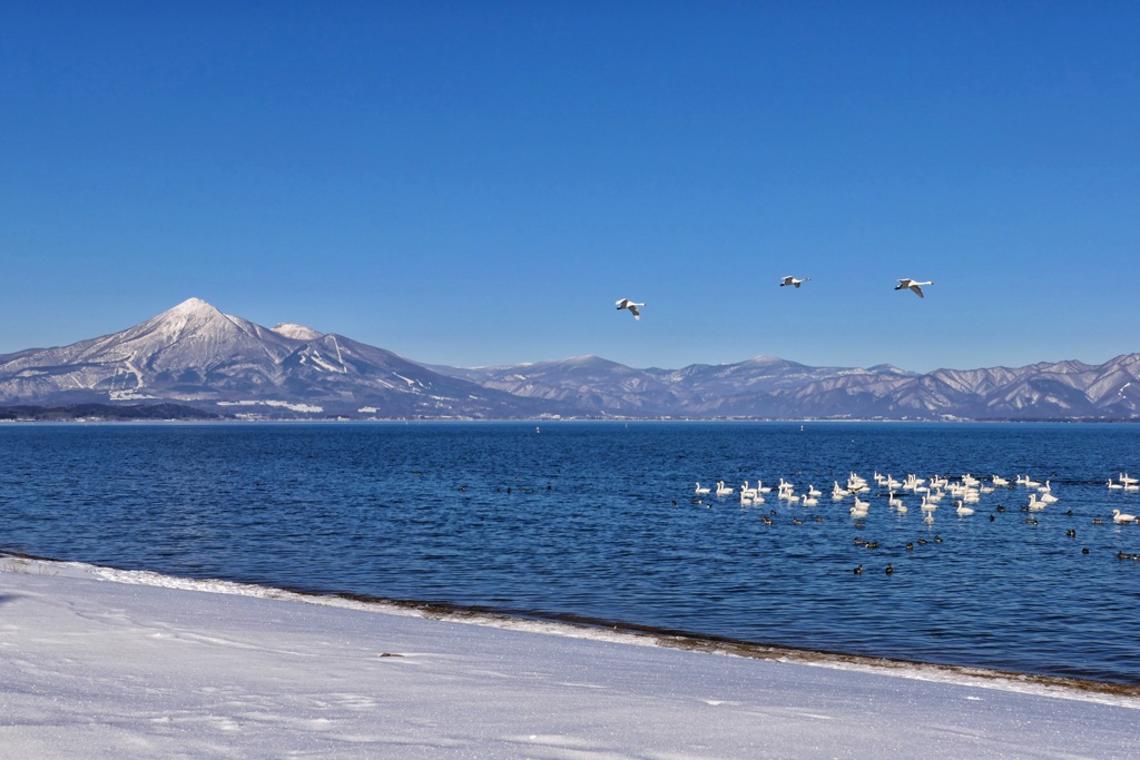 白鳥と会津磐梯山