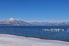白鳥と会津磐梯山