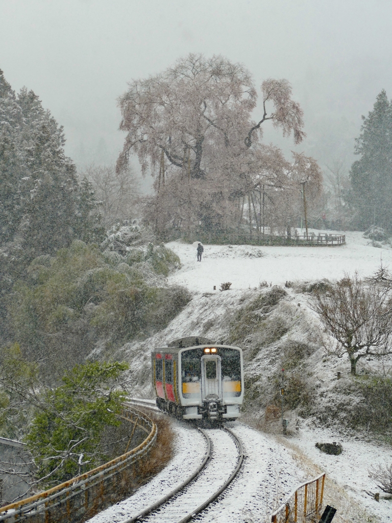 雪桜と水郡線 １