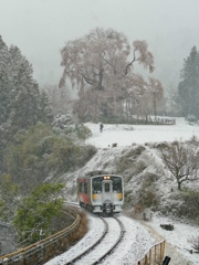 雪桜と水郡線 １
