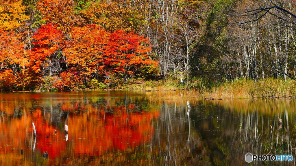 観音沼森林公園 ３