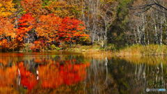 観音沼森林公園 ３