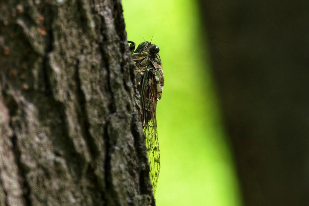 ラストスパート