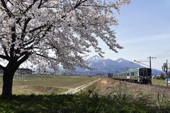 桜と磐梯山と電車