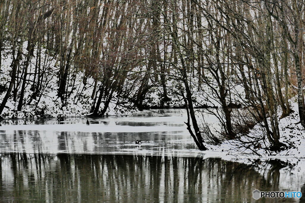 季節外れの雨 ２