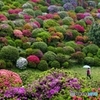 百色繚乱２