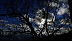 P1160406＠赤城山