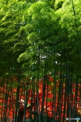 ことしも変わらず