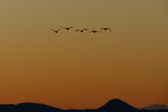 猪苗代湖夕景４