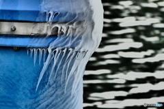 舟津公園の、しぶき氷２