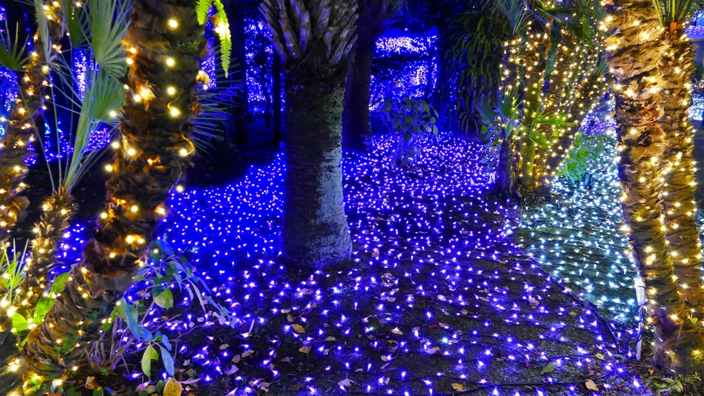 江の島イルミネーション６