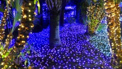 江の島イルミネーション６